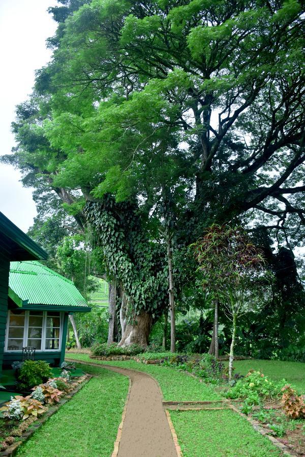 Royal Majesty Bungalow Hatton Buitenkant foto