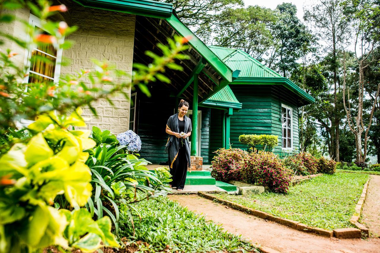 Royal Majesty Bungalow Hatton Buitenkant foto